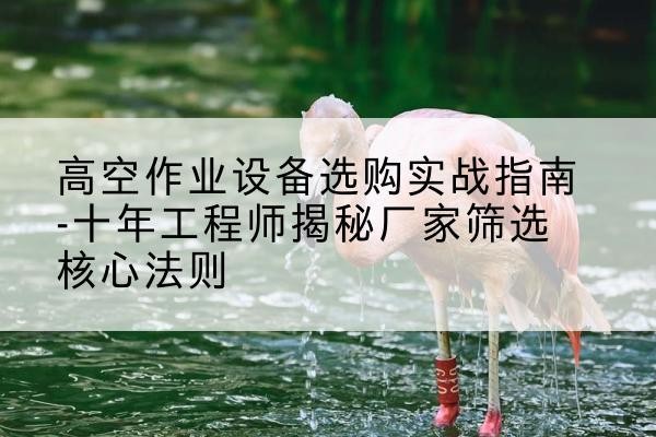 舞阳剪叉式升降机厂家-高空作业设备选购实战指南-十年工程师揭秘厂家筛选核心法则