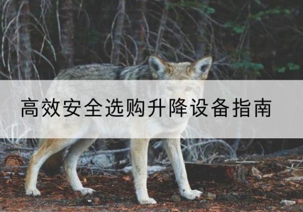 舞阳升降货梯厂家推荐-*安全选购升降设备指南