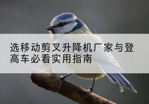 舞阳电动升降机厂家-选移动剪叉升降机厂家与登高车必看实用指南