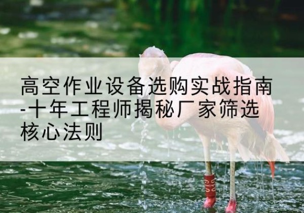 舞阳剪叉式升降机厂家-高空作业设备选购实战指南-十年工程师揭秘厂家筛选核心法则